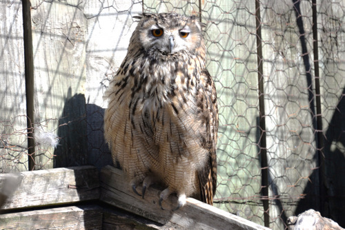 World of Birds Wildlife Sanctuary.